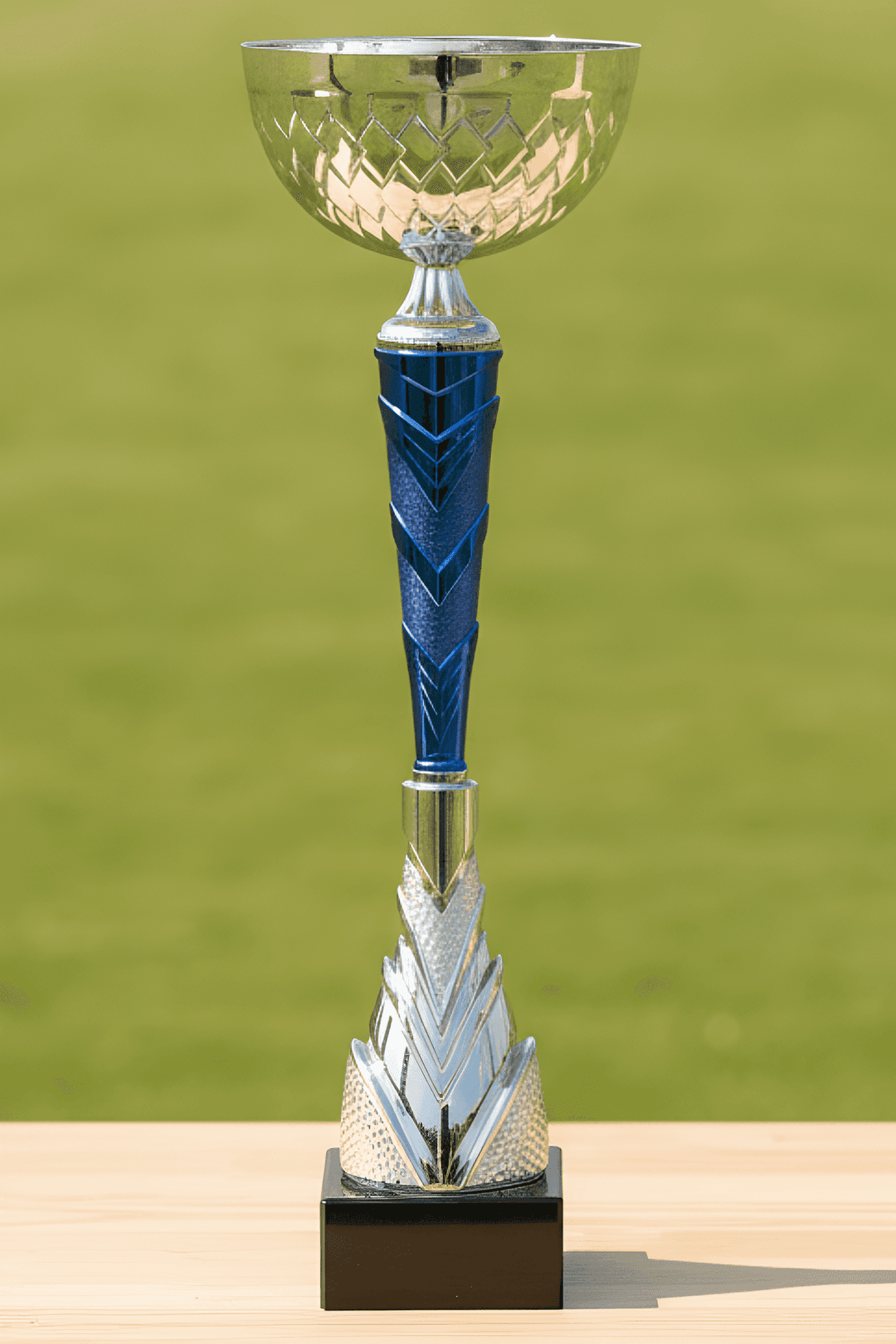 Puchar - CUP462