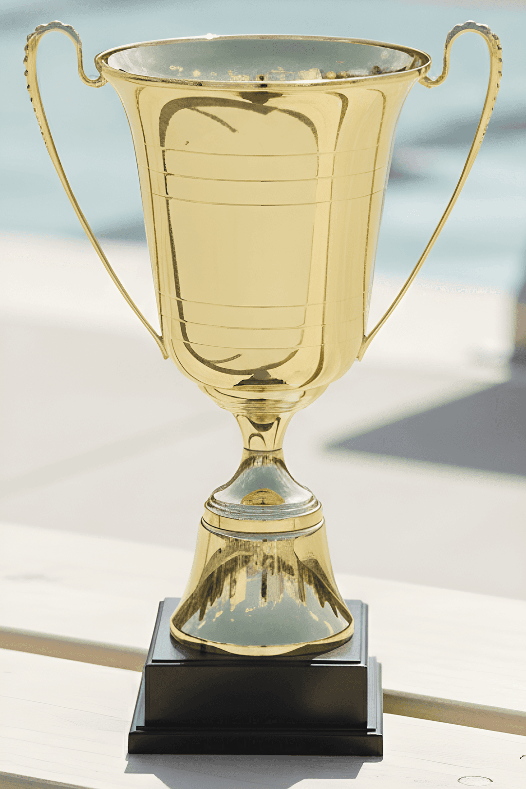 Puchar - CUP351