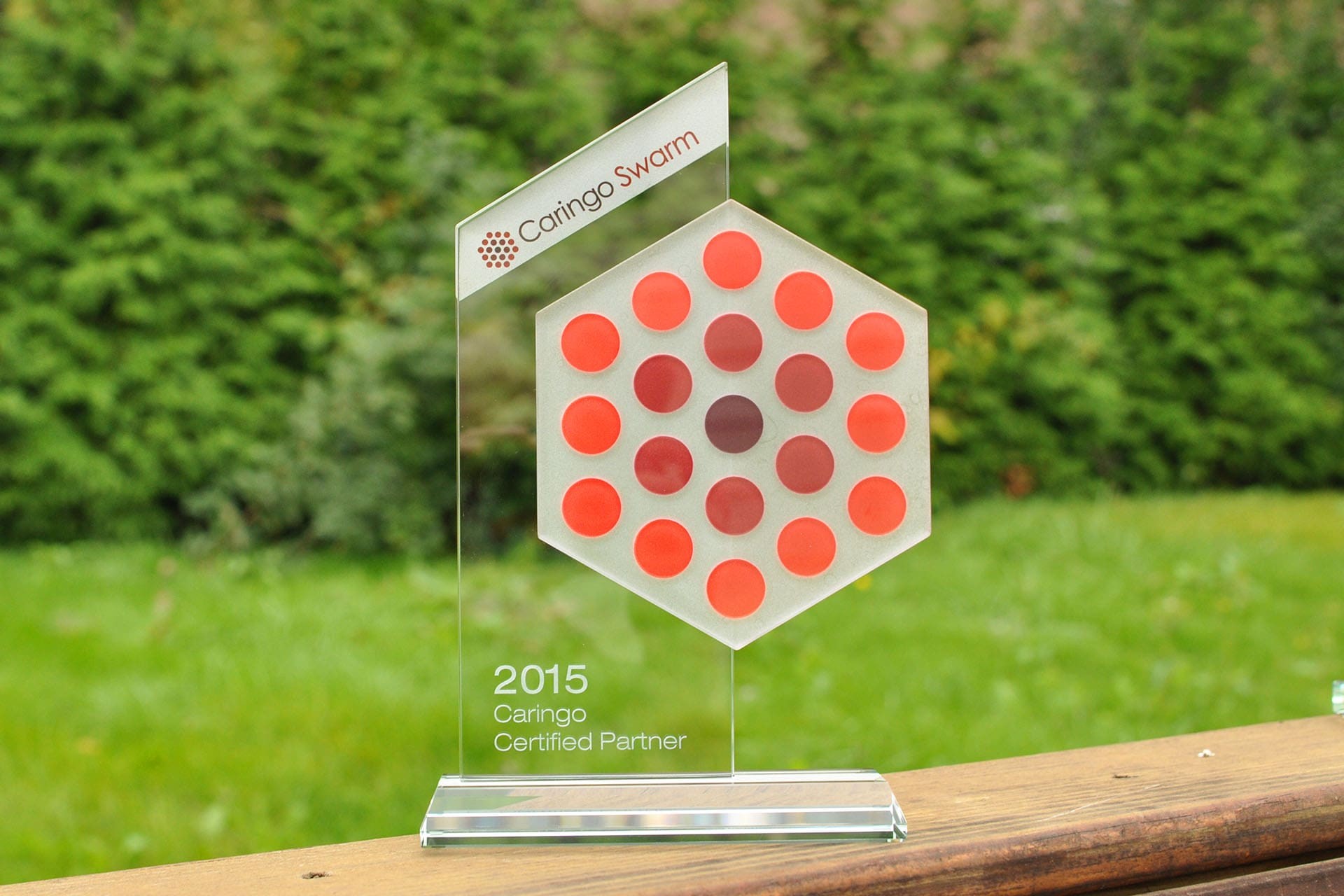 statuetka szklo Caringo Swarm glasso